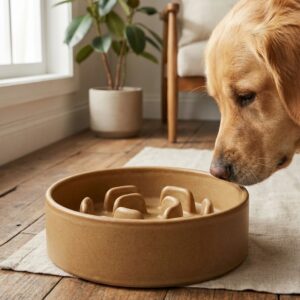 Kipupu 慢食哲學大地色霧面陶瓷碗