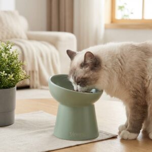 Kipupu 傾斜護頸高腳陶瓷貓碗 (莫蘭迪色系)