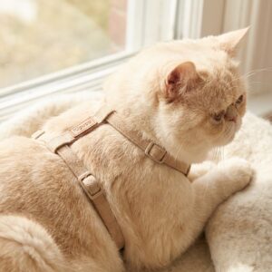 Kipupu 柔軟麂皮絨極簡貓胸背 (H型)